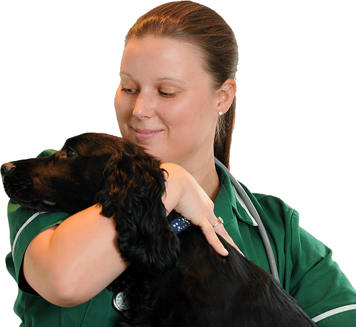 services nurse with dog